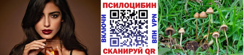 Галлюциногенные грибы Psilocybine cubensis дарк нет клад Весьегонск